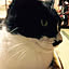 Chihiro_f