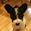 YOUKO
