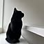 Blackcat