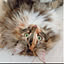 sakusaku_cat
