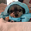 pico