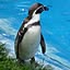 wjaz_tw