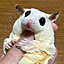 chiropepe