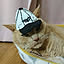 chabu