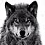 -growl-