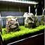 aquarist_tk