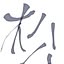 aki