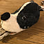 tn2102