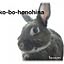 honohina