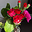 m_0224_m
