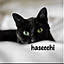 hasecchi