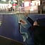 Kentaro_Haradanne