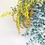 akika_naturalhome