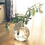 mizbe-