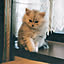 HungryBaby