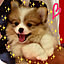 yukipooh