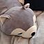 shark