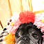 puglove