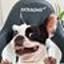 GamingchairGeek