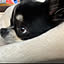 chiro