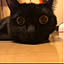 mau