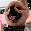 maro_326