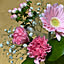 acha_6244