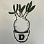 Daiki