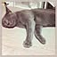 isocat3