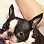 Charles