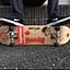 masa_sk8