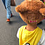 ruca
