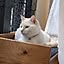 maru_hiro709