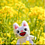 rinon