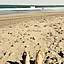 BECH