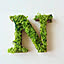 N