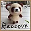 Raccoon