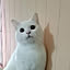 moomin_EX