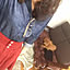 Shiori