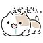 maru4041