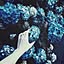 AIMER
