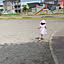 wasa527