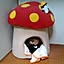 nonnon.dayo