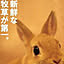usagi-rider