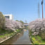 tayu0321