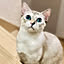 kidmomo123
