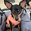 micho