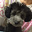 mayone-