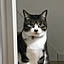 3cat