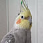 aya-bird0303